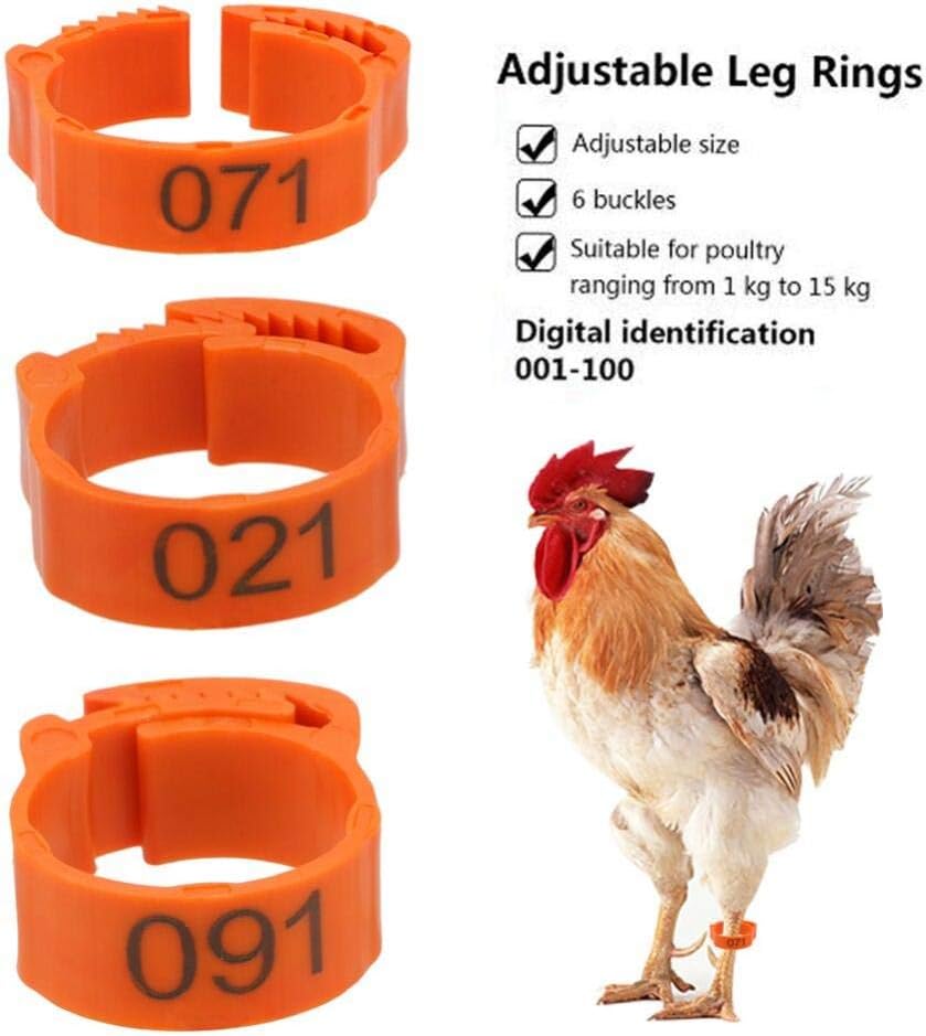 Photography Duck - 1-100 Kip Voetringen Label Sluiting Plastic