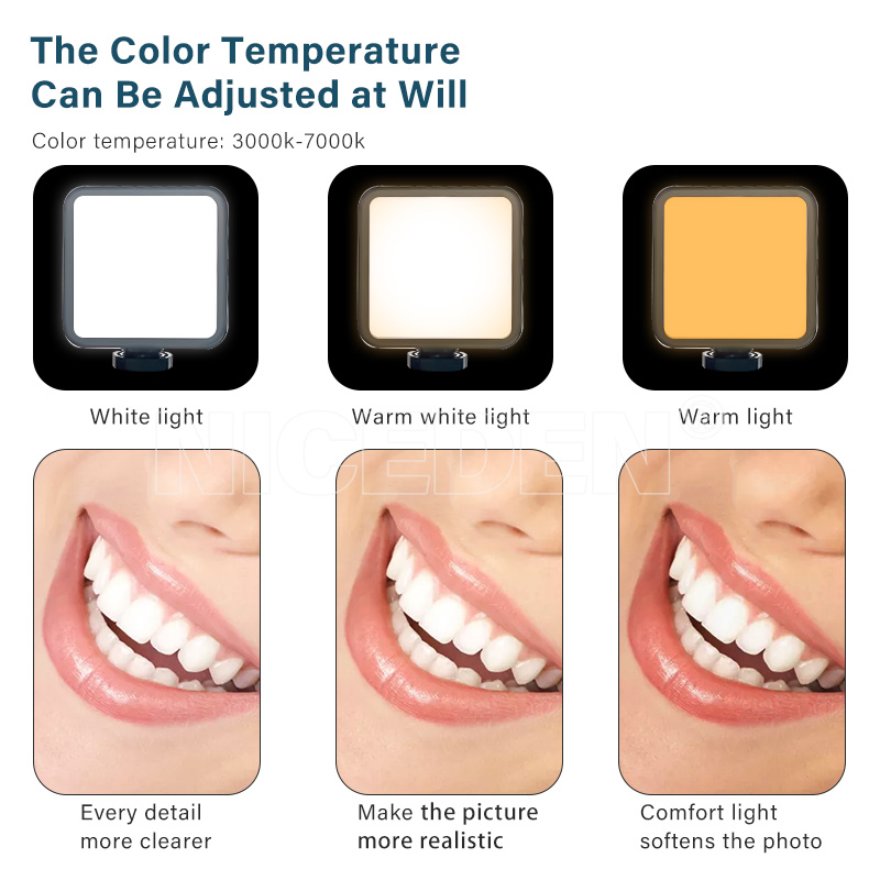 Niceden Dental draagbare flits - Photography Dental recensie en prijs