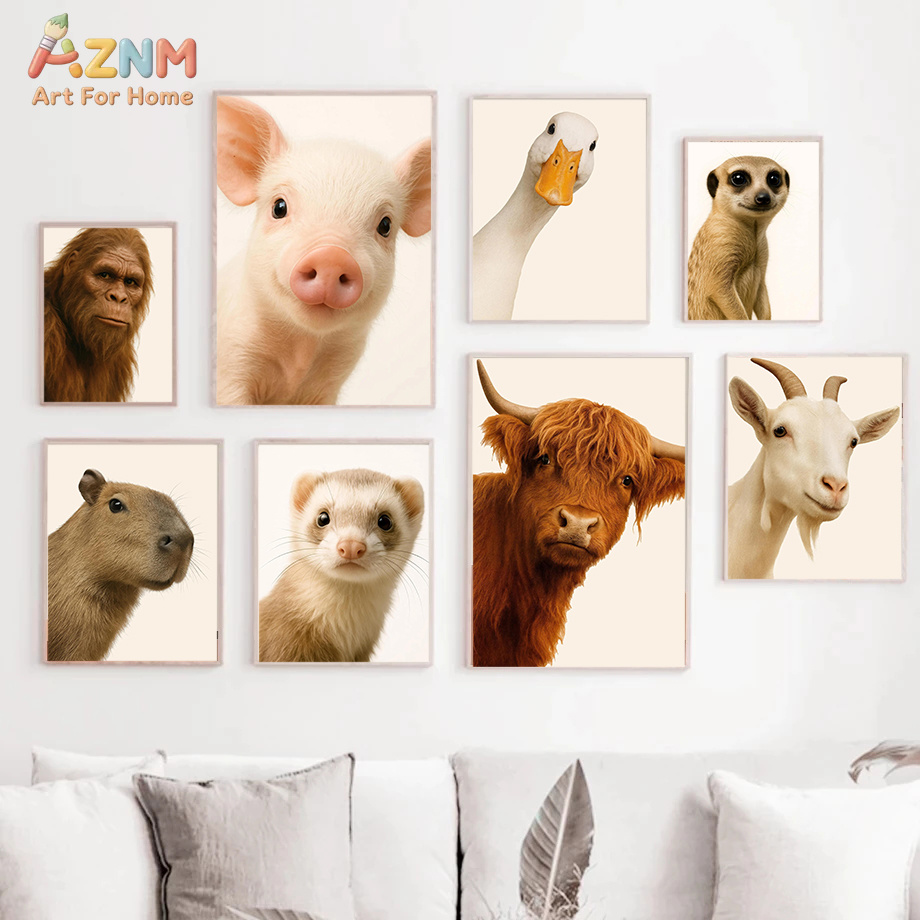 Interessante en humoristische  - Photography Interest recensie en prijs