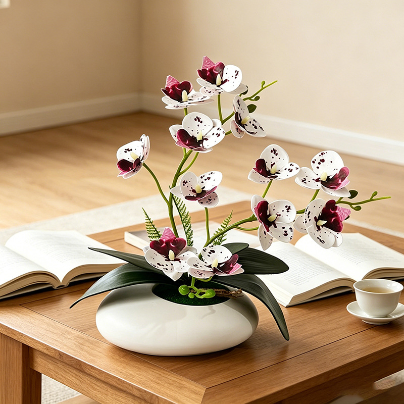 Vlinderorchidee 12 Bloemen Bon - Photography Graduation recensie en prijs