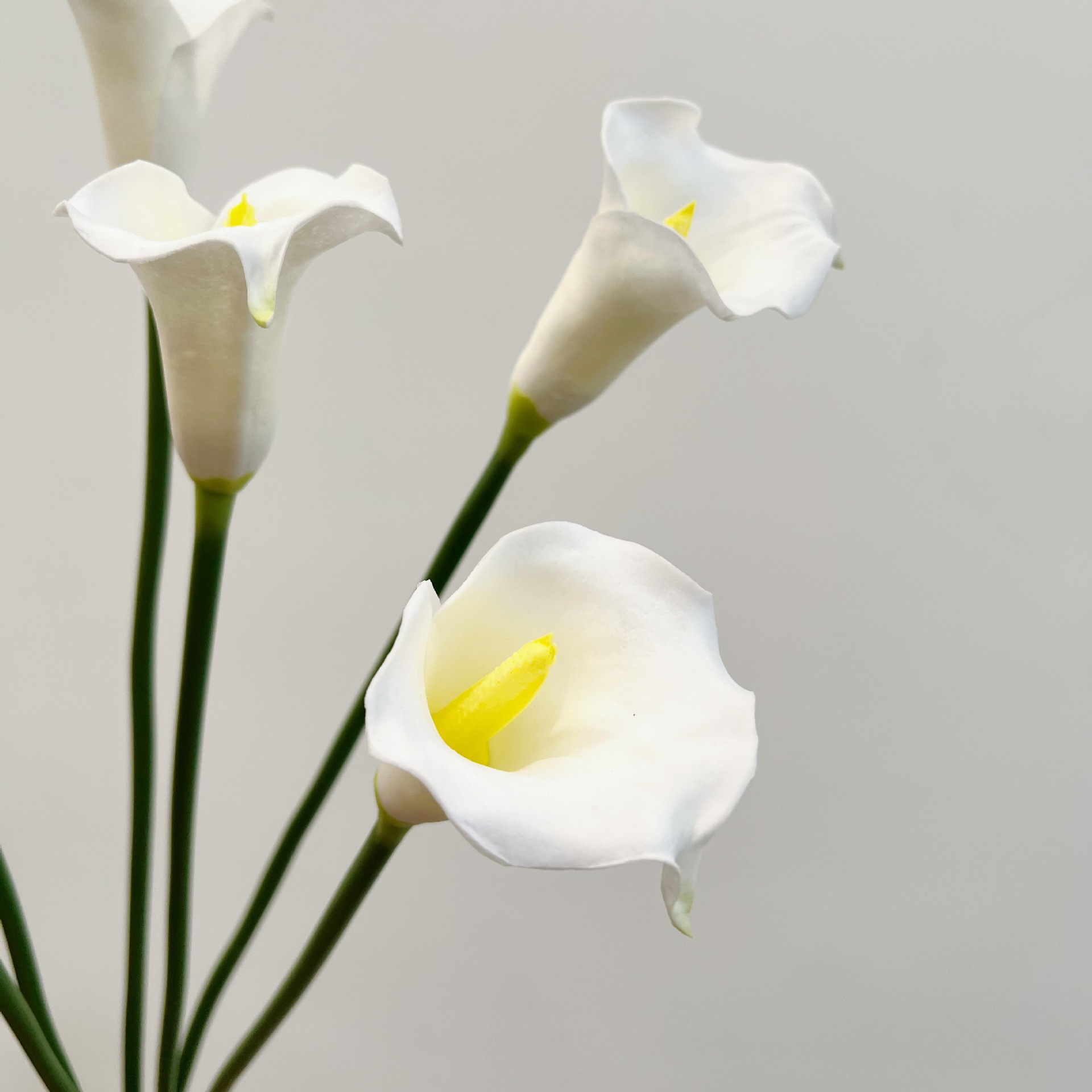 26 inch enkele steel halvemaan - Photography Graduation recensie en prijs