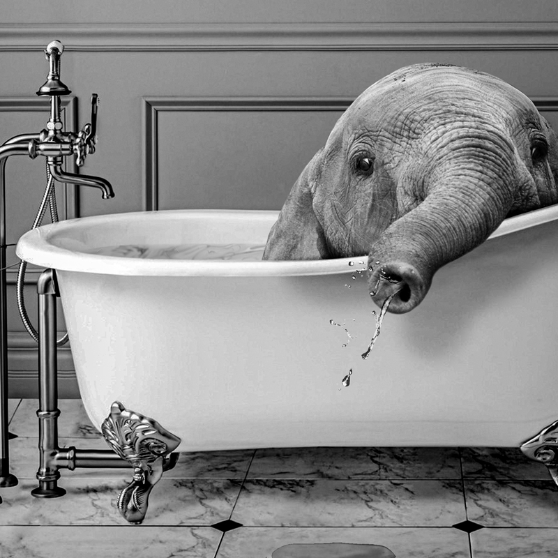 Zwart En Wit Dieren Badkamer F - Photography Duck recensie en prijs