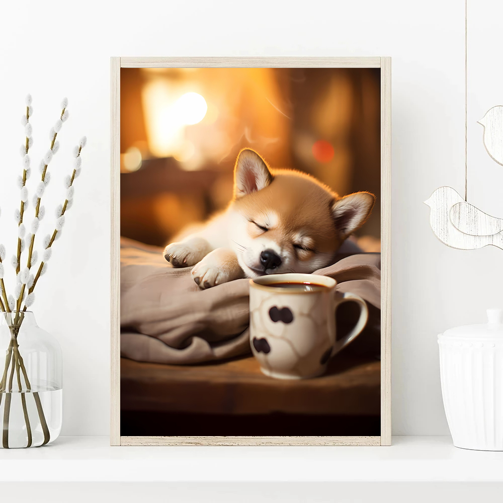 Schattige en interessante hond - Photography Interest recensie en prijs