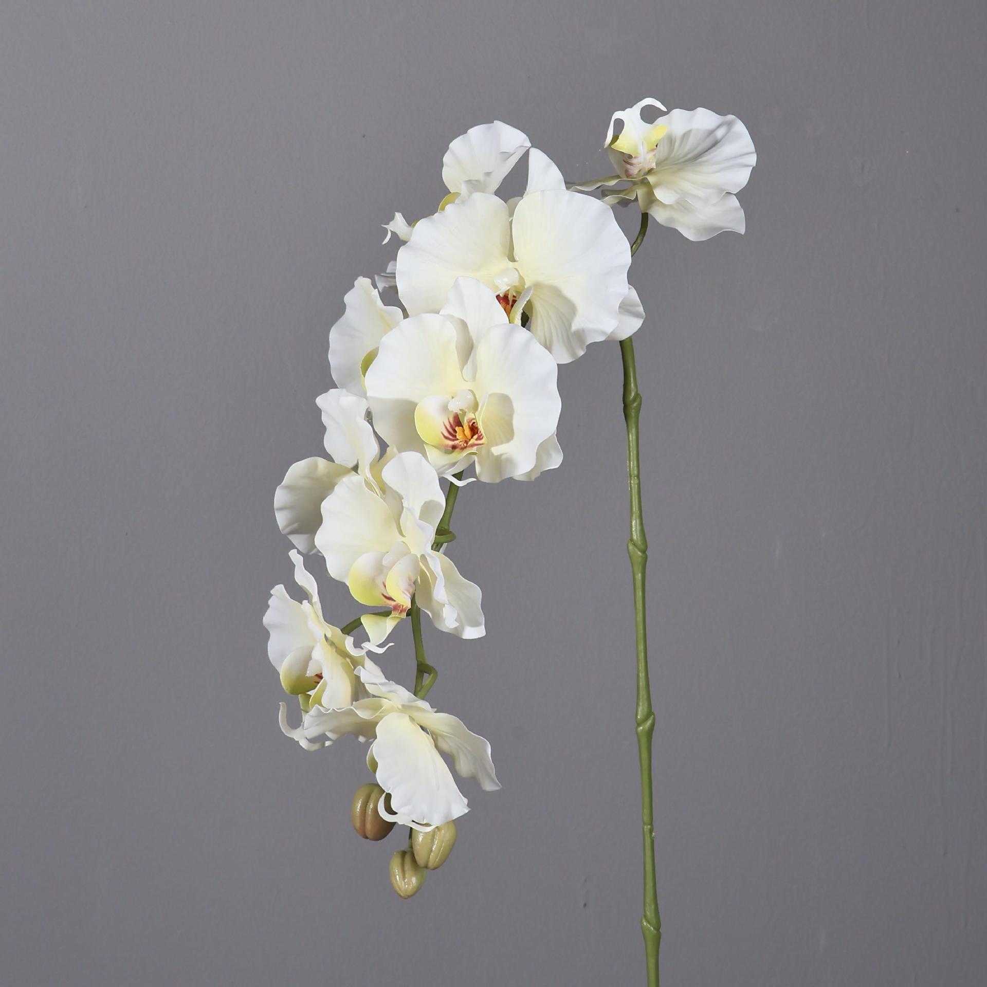38,6 inch 9 hoofden Koreaanse  - Photography Graduation recensie en prijs