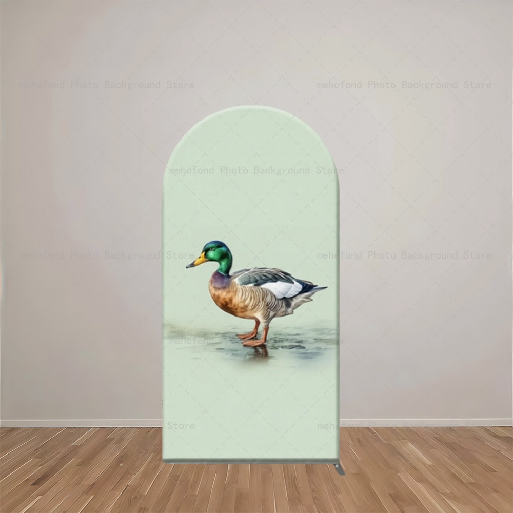 Mehofond Arch Achtergrond Fris - Photography Duck recensie en prijs